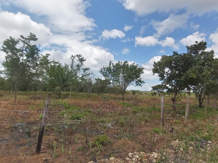 Terreno comercial en venta en Santa Ana Peten  - foto 2