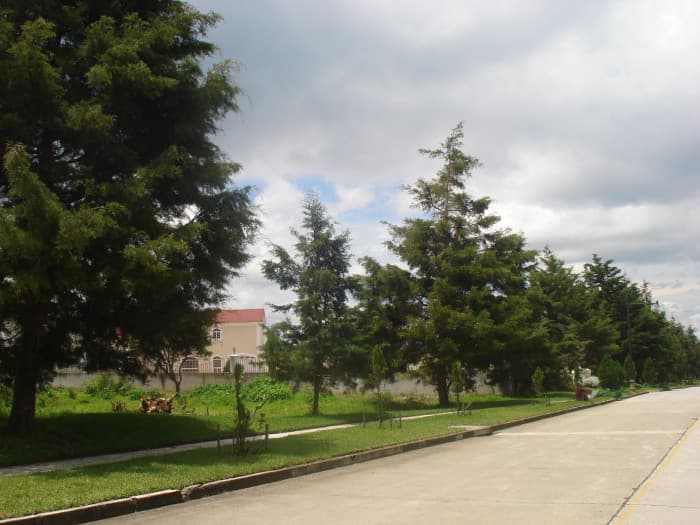 En venta Terreno plano en Casa & Campo  - foto 3