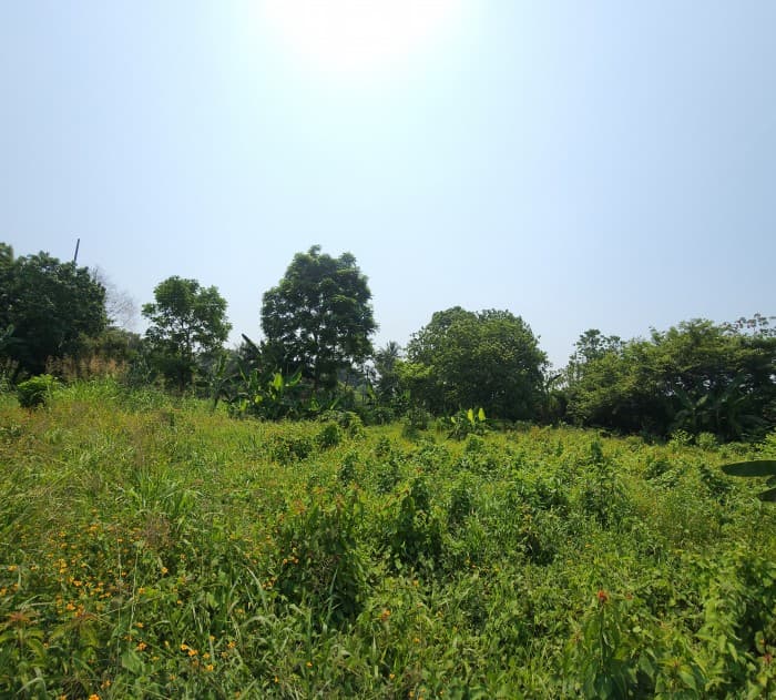 En Venta finca +40Mil Varas en el Km. 78 Ruta CA-2 - foto 2