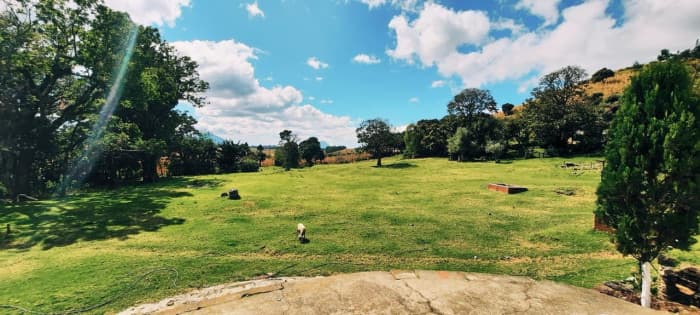 Terreno en Venta San Andres Semetabaj Solola - foto 2