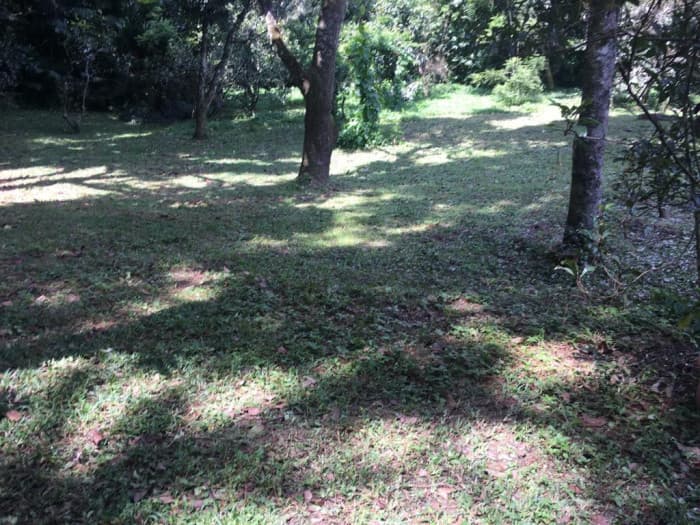 Terreno en venta Colonia trinidad zona 15 Guatemala - foto 4