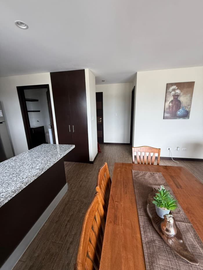 En Alquiler Apartamento 1 habitacion Amueblado Zona 15 - foto 4