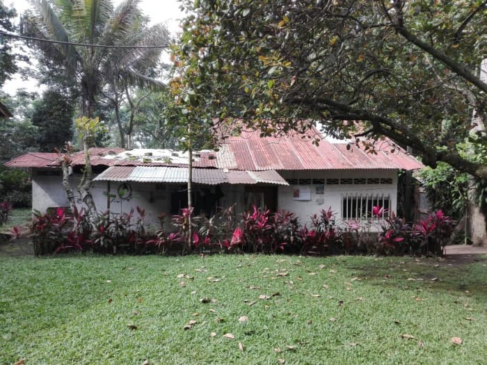 Finca en venta 8.5 manzanas Mazatenango Suchitepéquez - foto 4