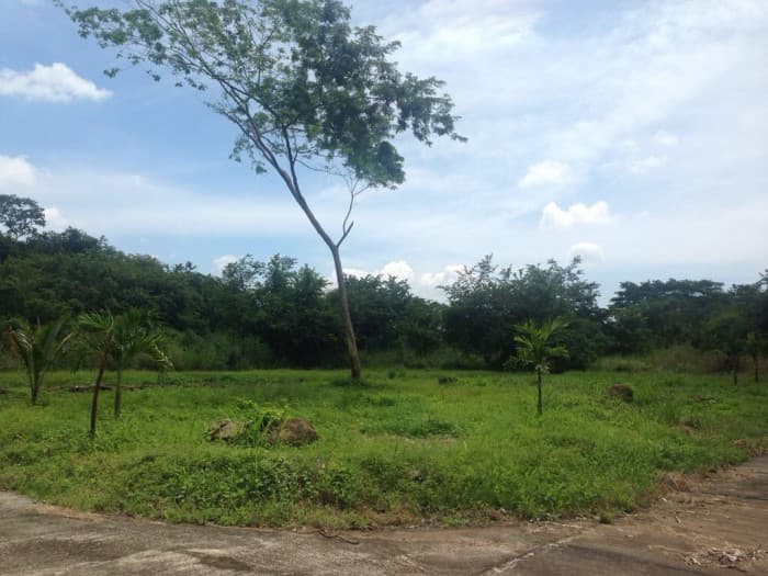 Terreno en VENTA en  Km 79 Autopista Puerto Quetzal - foto 2