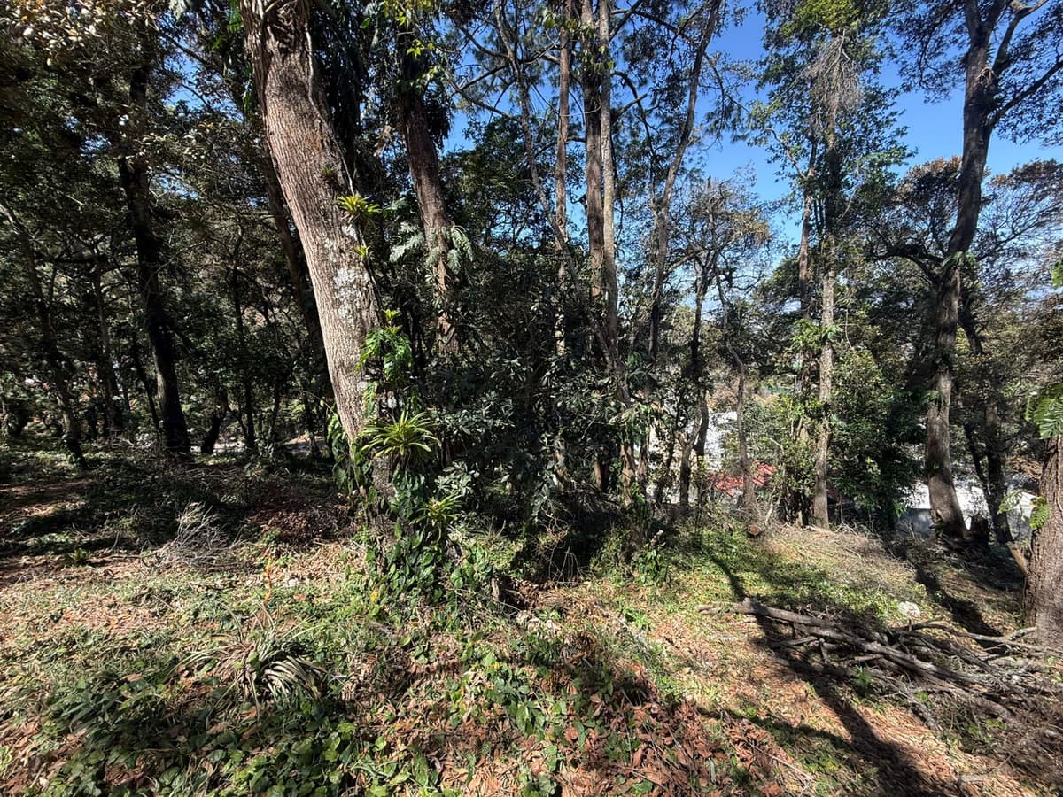 Terreno en Venta en Zona 16 Las Cumbres - foto 3