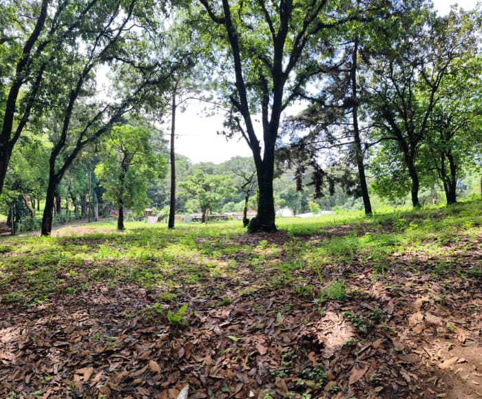 Terreno 100% Aprovechable en Venta ubicado  Choacorral  - foto 3