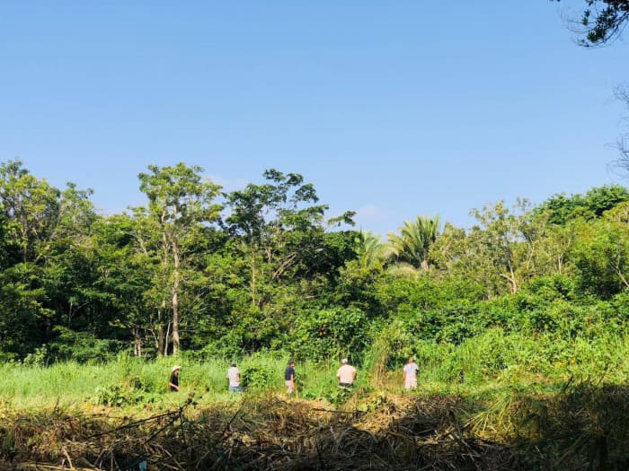 Terreno en Venta en Livingston Izabal  - foto 3