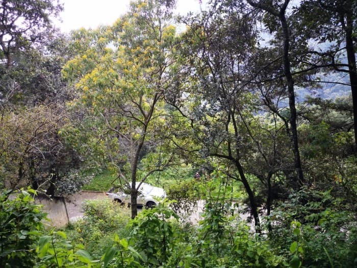 Terreno en Venta El Encinal Mixco - foto 2