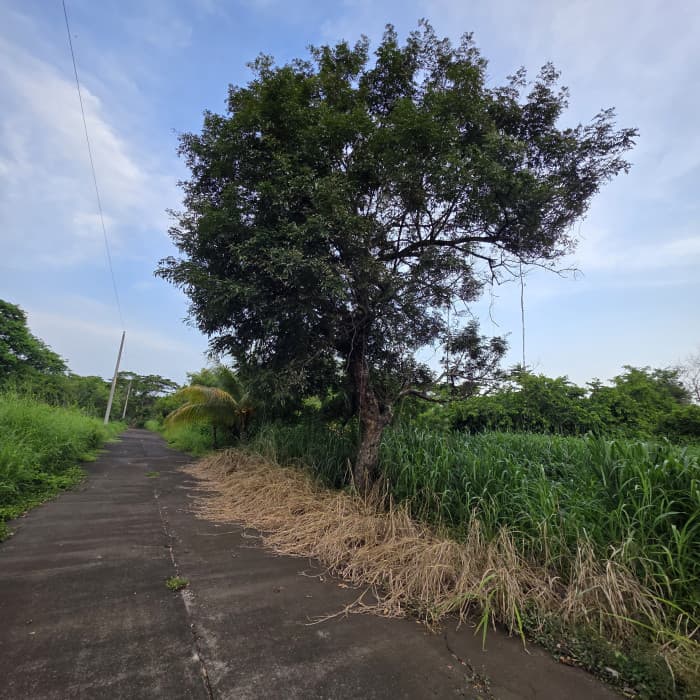 Terreno en venta en Cataratas Uxmel Puerto de San José - foto 4