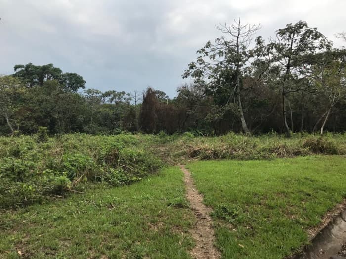 TERRENO EN VENTA CAMPO AVENTURA PALIN ESCUINTLA - foto 4