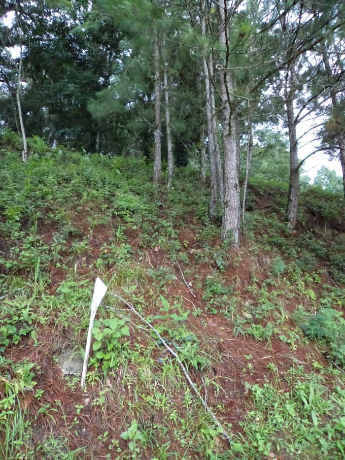 VentaTerreno en Las Cumbres Zona 16 Guatemala - foto 4