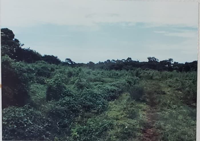 VENDO Terreno en el Sunzal el Salvador de Acajutla - foto 2