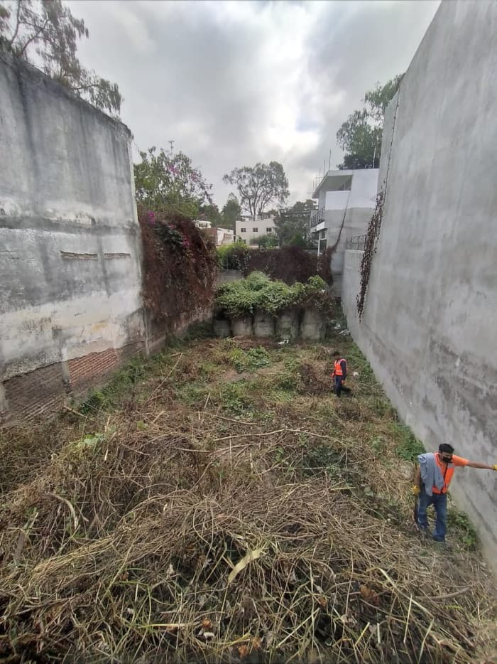 Terreno en Renta Ideal para uso Comercial en zona 2 - foto 2