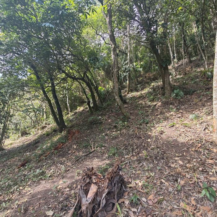 Terreno en venta en Piedra Parada cercano a zona 16 - foto 3
