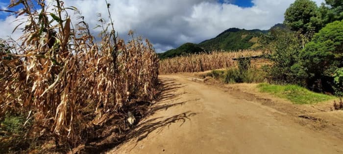 Terreno en Venta San Andres Semetabaj Solola - foto 3