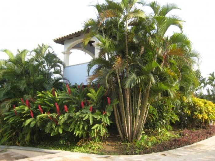 Terreno en venta en PAcific Garden Escuintla - foto 3