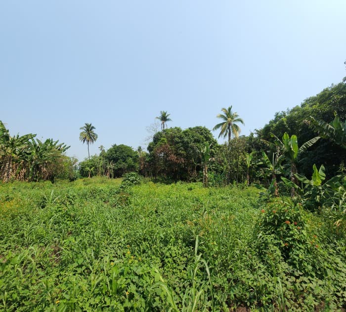 En Venta finca +40Mil Varas en el Km. 78 Ruta CA-2 - foto 3
