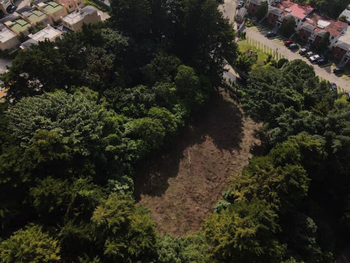 Terreno en Renta CAES ideal para Inversion Comercial   - foto 4