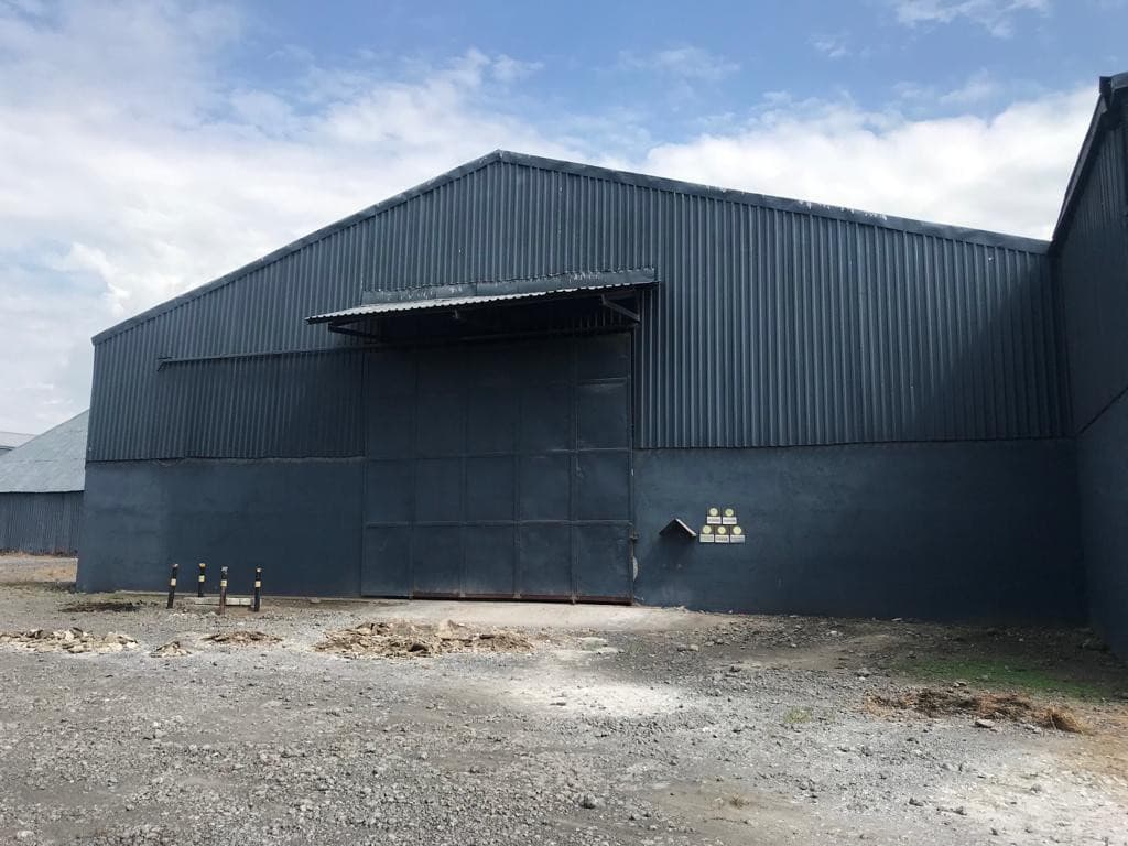 CONSTRUCCIÓN DE BODEGA A MEDIDA KM.78 A PUERTO QUETZAL  - foto 2