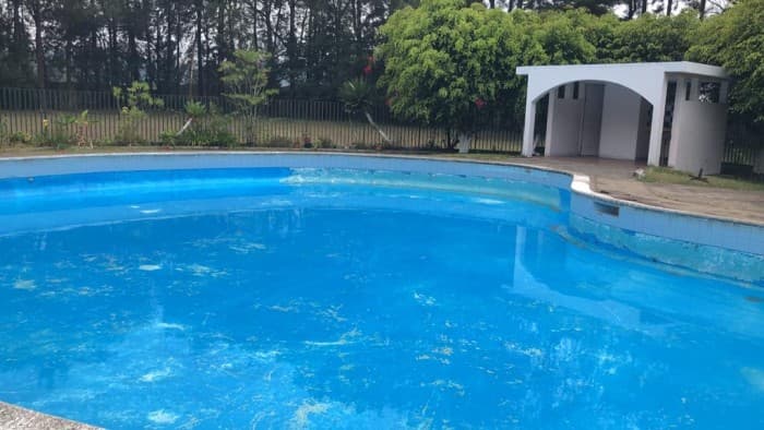 Granja con casa 25 mil varas de jardin en Venta - foto 3