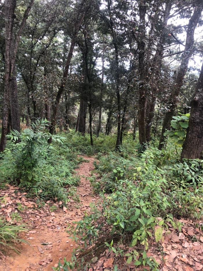 Terreno en Venta en Aldea el Choacorral San Lucas - foto 4