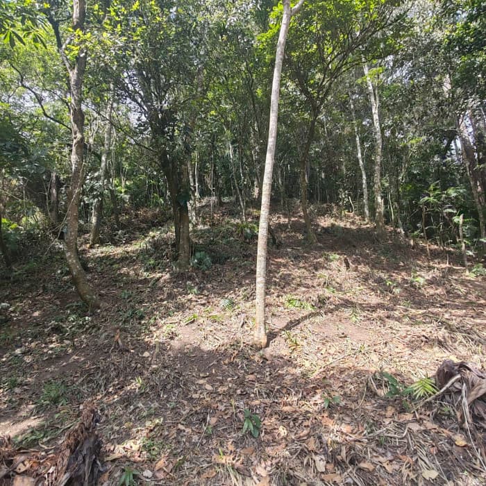 Terreno en venta en Piedra Parada cercano a zona 16 - foto 4