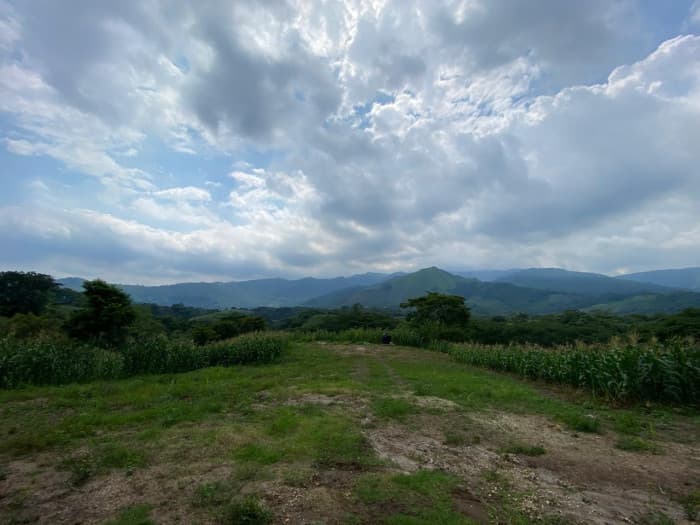 Terreno ideal para Desarrollo o inversion Villa Canales - foto 4