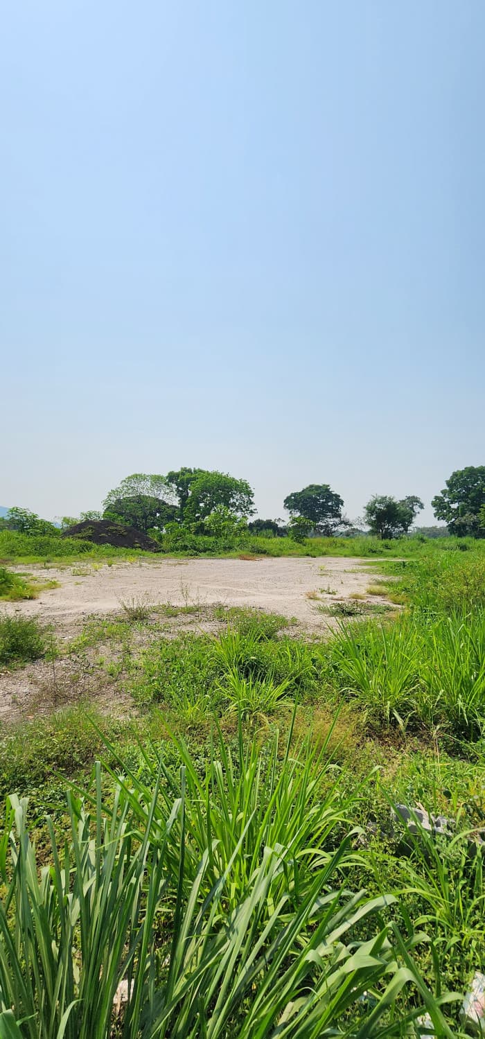 Terreno en venta ruta Centroamericana CA-2 Siquinala - foto 4