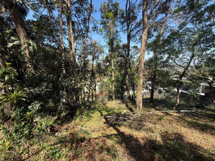Terreno en Venta en Zona 16 Las Cumbres - foto 4