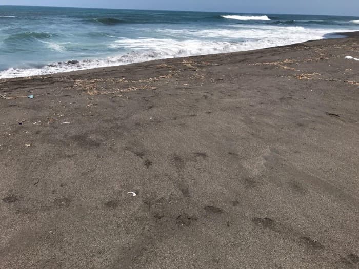 VENDO TERRENO VACACIONAL EN PLAYA RAMA BLANCA SIPACATE - foto 4