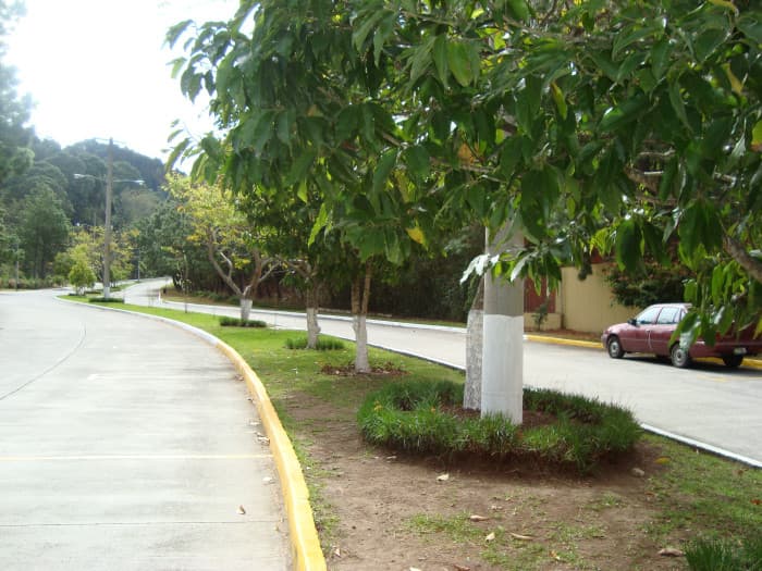 VentaTerreno en Las Cumbres Zona 16 Guatemala - foto 3