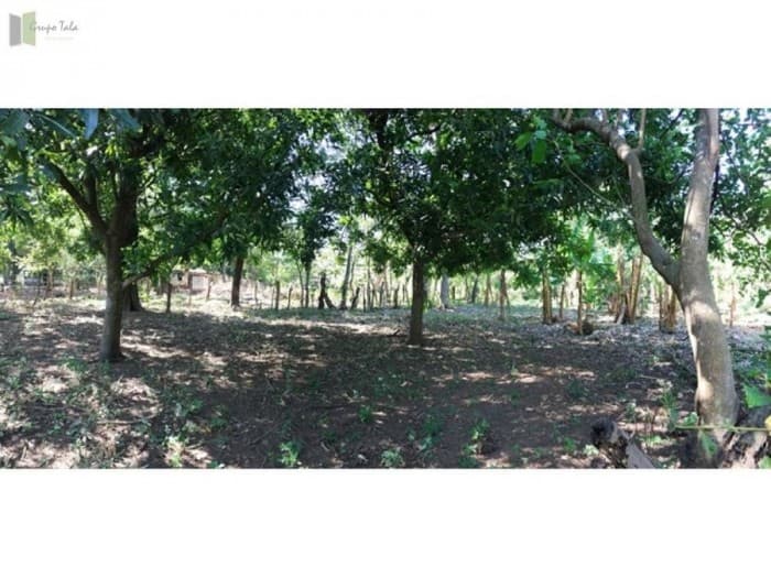 Finca en Venta en  Guanagazapa Escuintla - foto 4