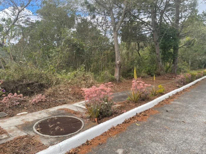 Terreno en Venta en Alta Vista Country Club - foto 4