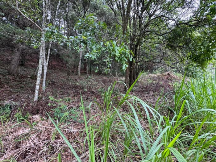 Terreno en Venta en Rancho Verde Fraijanes - foto 4