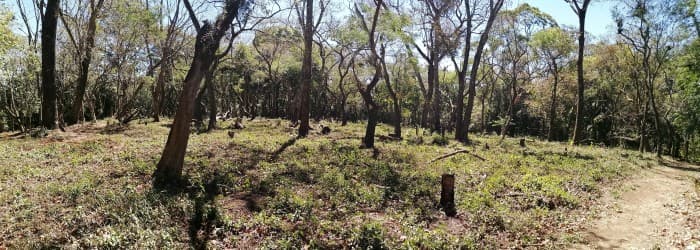 Terreno en venta dentro Residencial Premier Campestre. - foto 4