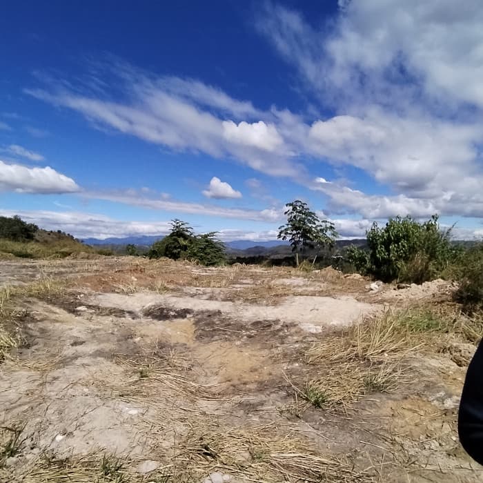 Terreno Comercial en Carretera Al Atlántico Palencia - foto 4