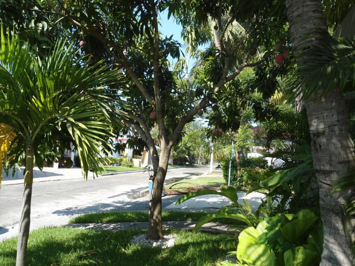 Linda Casa amueblada en Venta en San Marino!!!  - foto 4