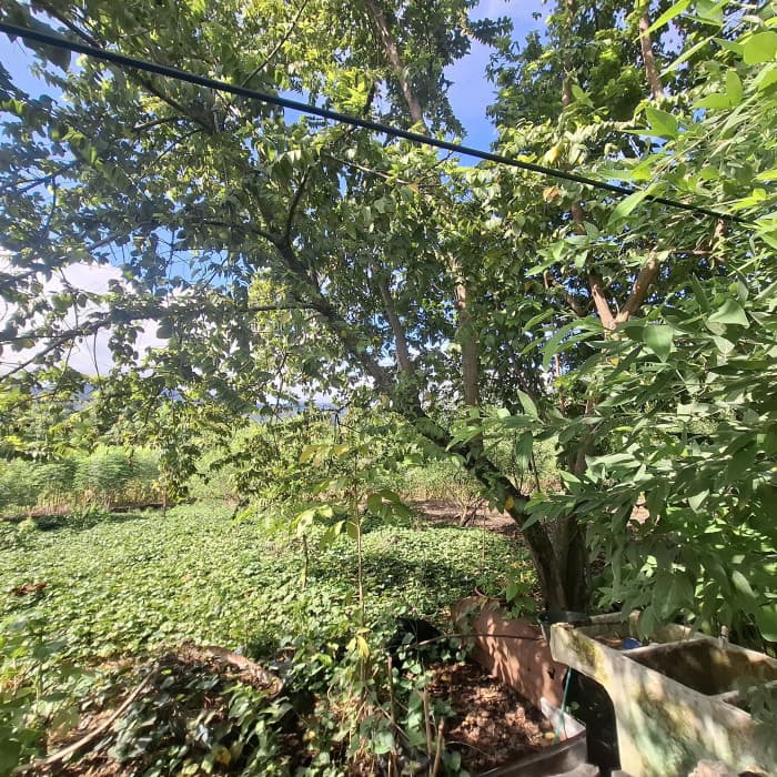 Terreno En Venta En El Estor Izabal Guatemala - foto 3