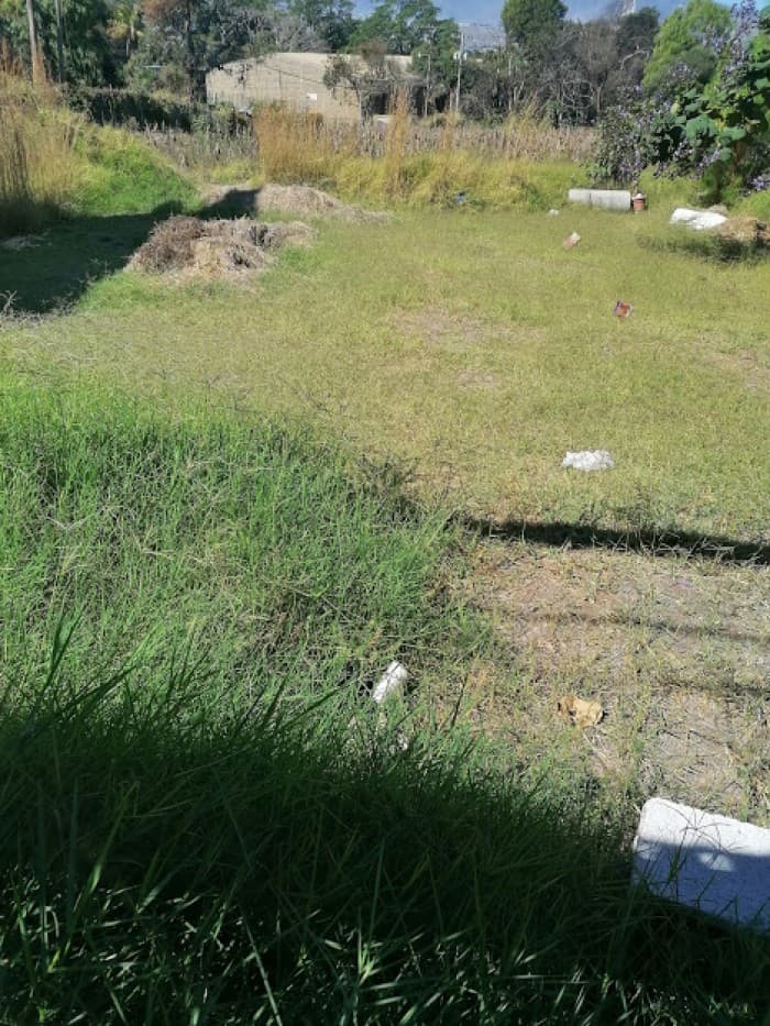 Terreno Comercial Los Álamos San Miguel Petapa          - foto 3
