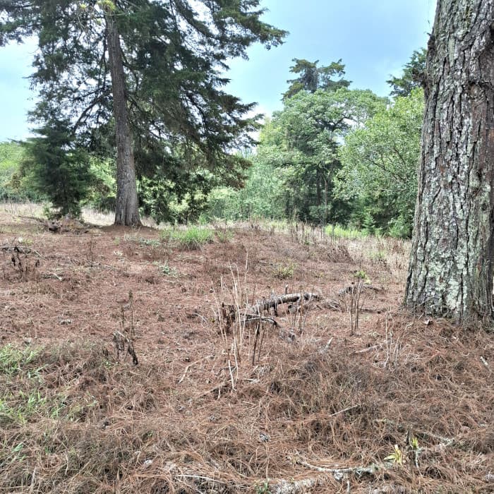 En Venta Terreno en Villa Ecuestre El Pulté Guatemala - foto 4