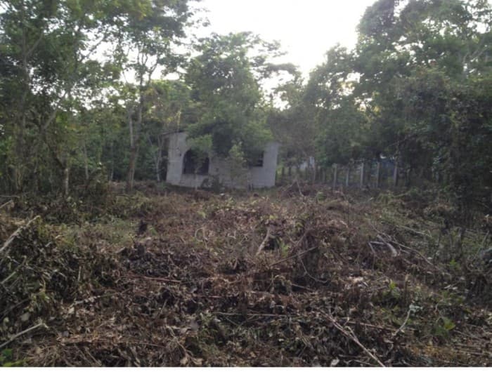 VENDO TERRENO EN SAN ANDRES PETEN - foto 2