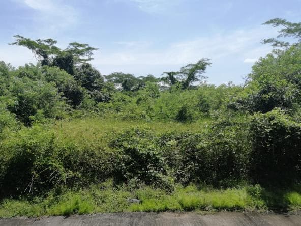 Torremolinos terreno vacacional en venta en Escuintla - foto 2