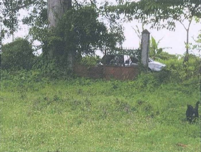 Renta terreno ideal para gasolinera en Escuintla - foto 2