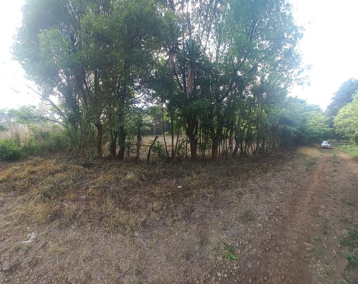  Terreno en venta Granjas Valle de Montebello/vas - foto 3