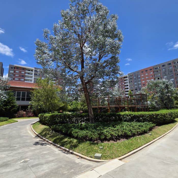Apartamento con jardin en Venta Zona 14 La Villa - foto 3