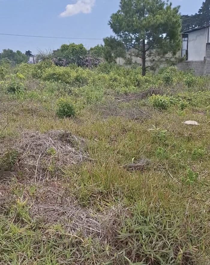 Renta Terreno Comercial Santa Catarina Pinula 18.5 - foto 3