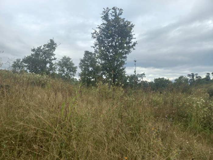 Terreno Comercial área San Pedro Ayampuc - foto 4