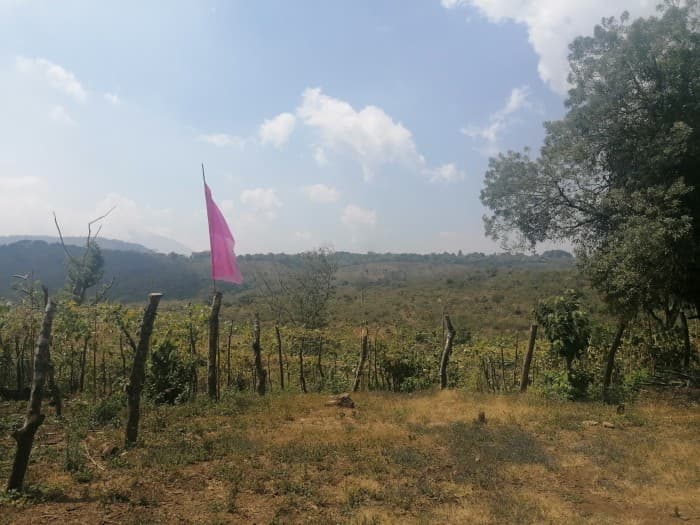 Vendo Terreno para desarrollo en Carretera El Salvador - foto 3