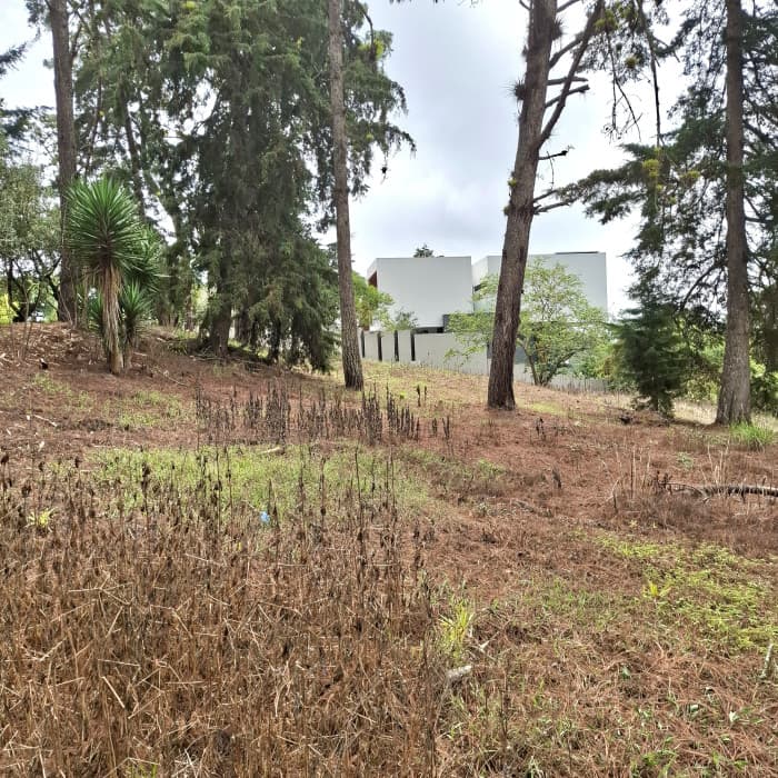 Terreno en Venta en Villa Ecuestre El Pulté Guatemala - foto 4
