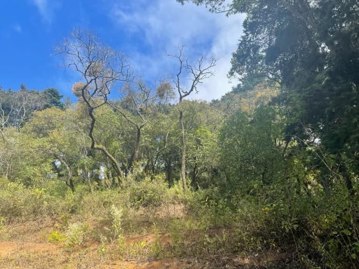 Terreno en Venta en Granja Buenos Aires - foto 2